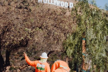 Alleyways and Agreements: A Los Angeles Story About Dumpster Removal
