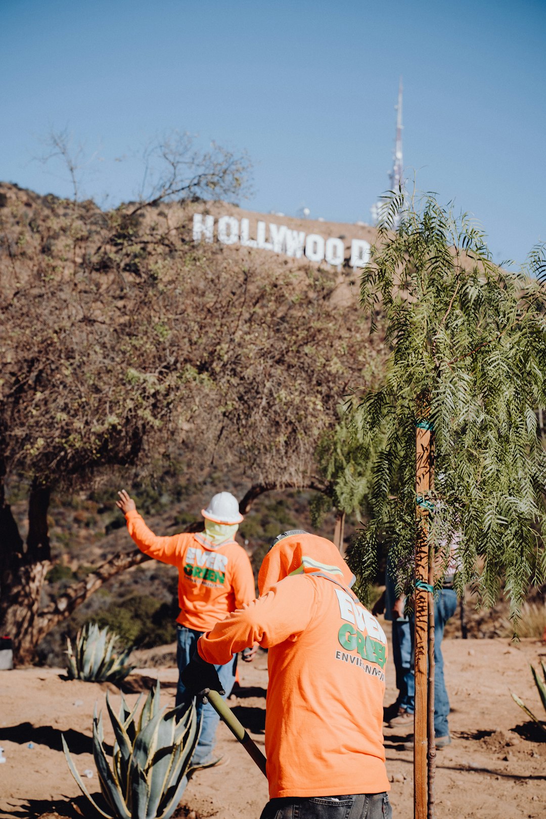 Alleyways and Agreements: A Los Angeles Story About Dumpster Removal
