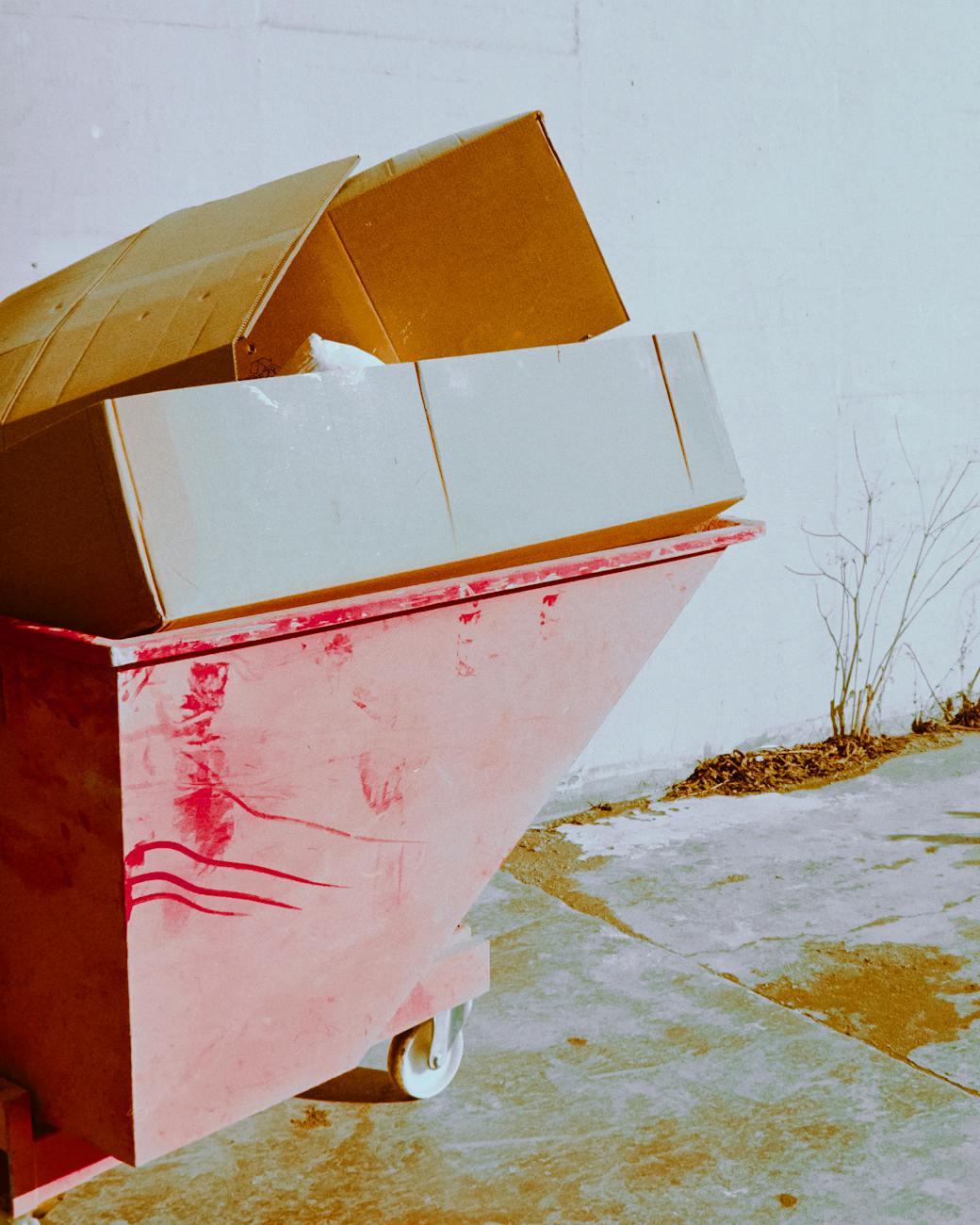 From Sawdust to Seascapes: Navigating Dumpster Removal Across Greater Los Angeles