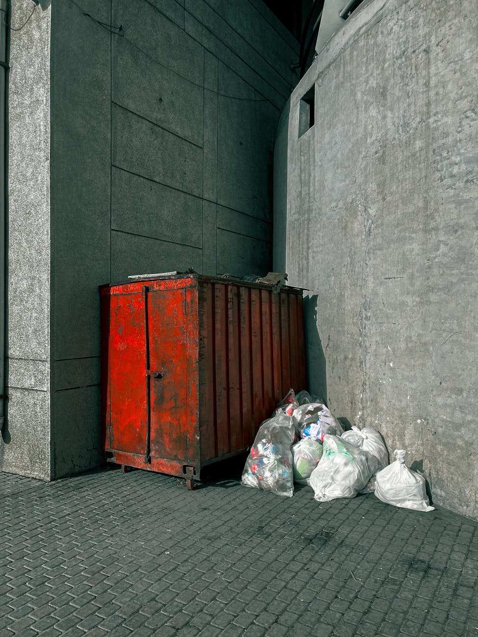 Rolling Away the Mess: A Greater Los Angeles Dumpster Story
