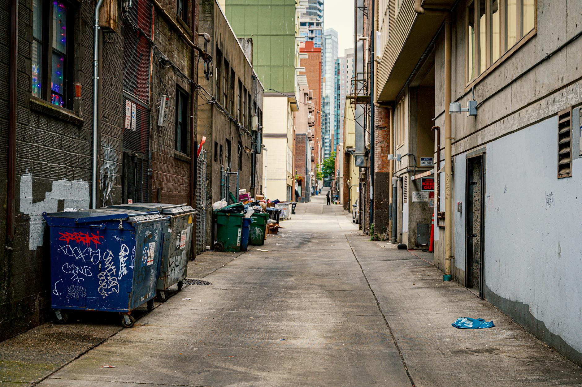 Rolling Away the Past: A Los Angeles Story of Dumpster Removal and Renewal