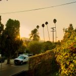 The Long Haul: A Los Angeles Story of Dumpster Days and Clean Slate