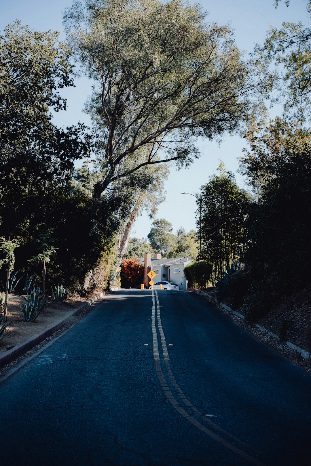 When the Alley Filled Up: A Los Angeles Story of Dumpster Removal and Reinvention