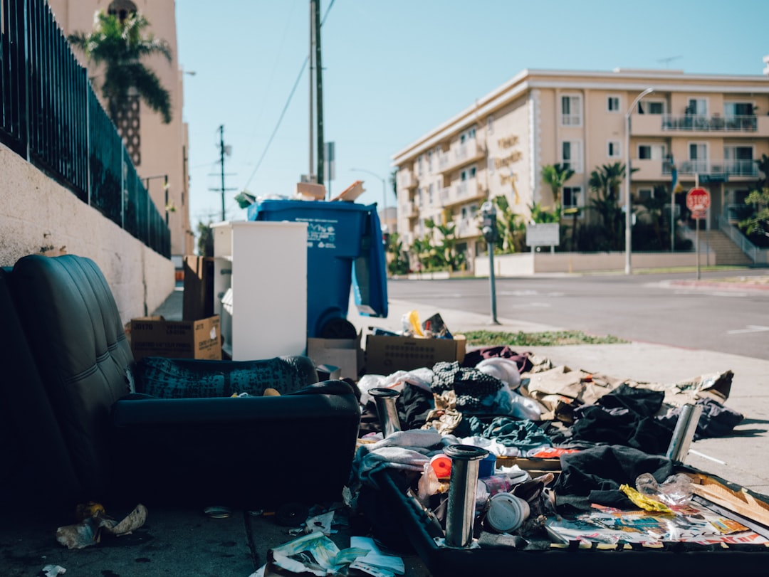 When the City Eats Your Renovation: A Los Angeles Dumpster Story
