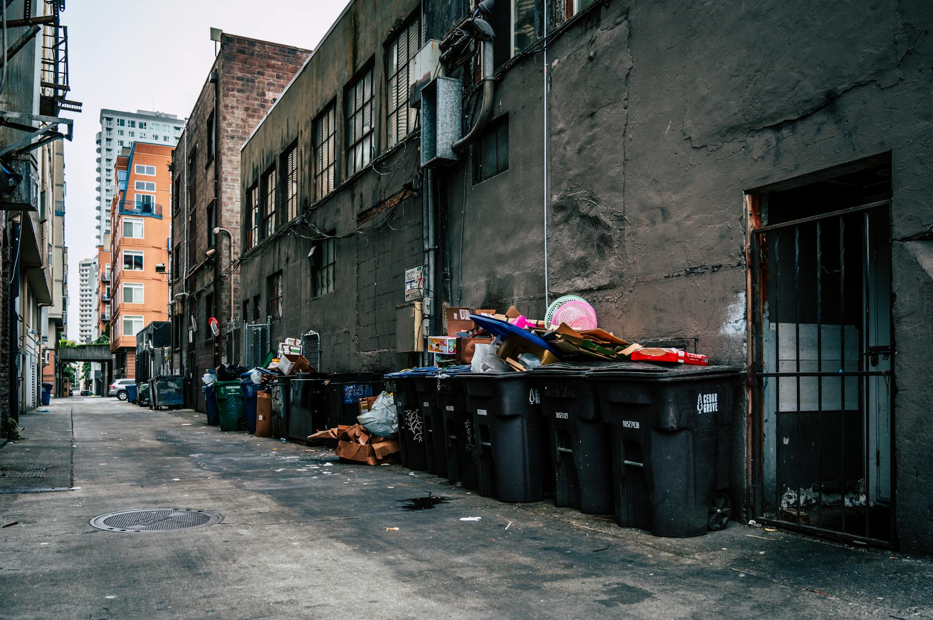 When the Curb Became a Canvas: A Los Angeles Dumpster Tale
