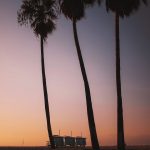 Emptying Rooms, Reclaiming Streets: A Los Angeles Story of Dumpster Removal
