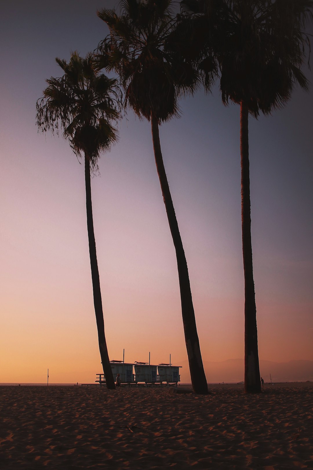 Emptying Rooms, Reclaiming Streets: A Los Angeles Story of Dumpster Removal