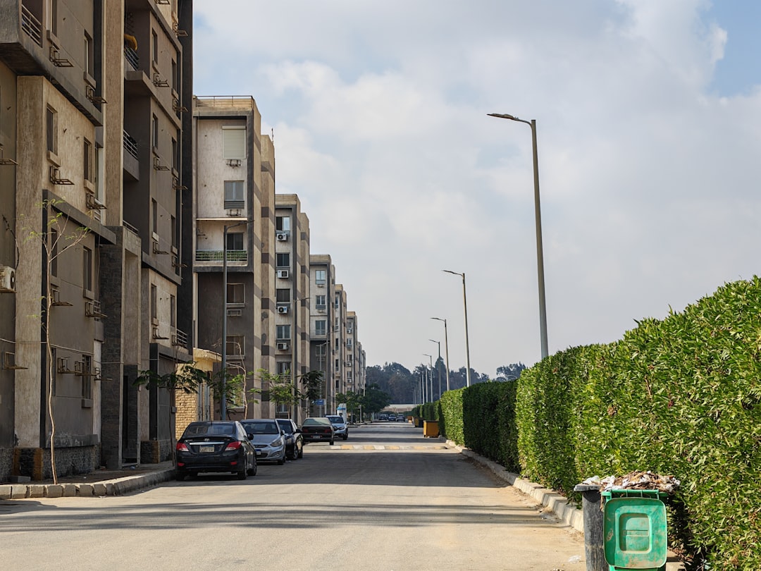 Rolling Away the Past: A Los Angeles Story of Dumpster Removal and Renewal