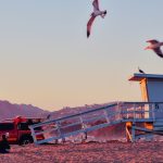 When a Dumpster Became a Character: A Los Angeles Renovation Tale