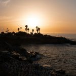 When the Dumpster Came to Echo Park: A Los Angeles Story of Renovation, Rules, and Relief