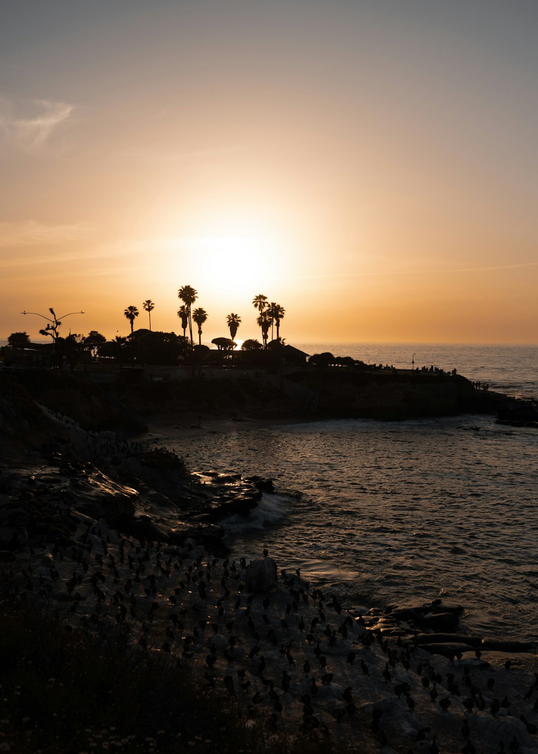 When the Dumpster Came to Echo Park: A Los Angeles Story of Renovation, Rules, and Relief