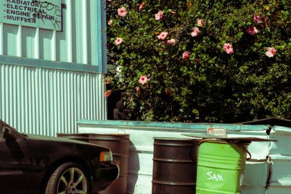 When the Dumpster Came to Town: A Los Angeles Renovation Story