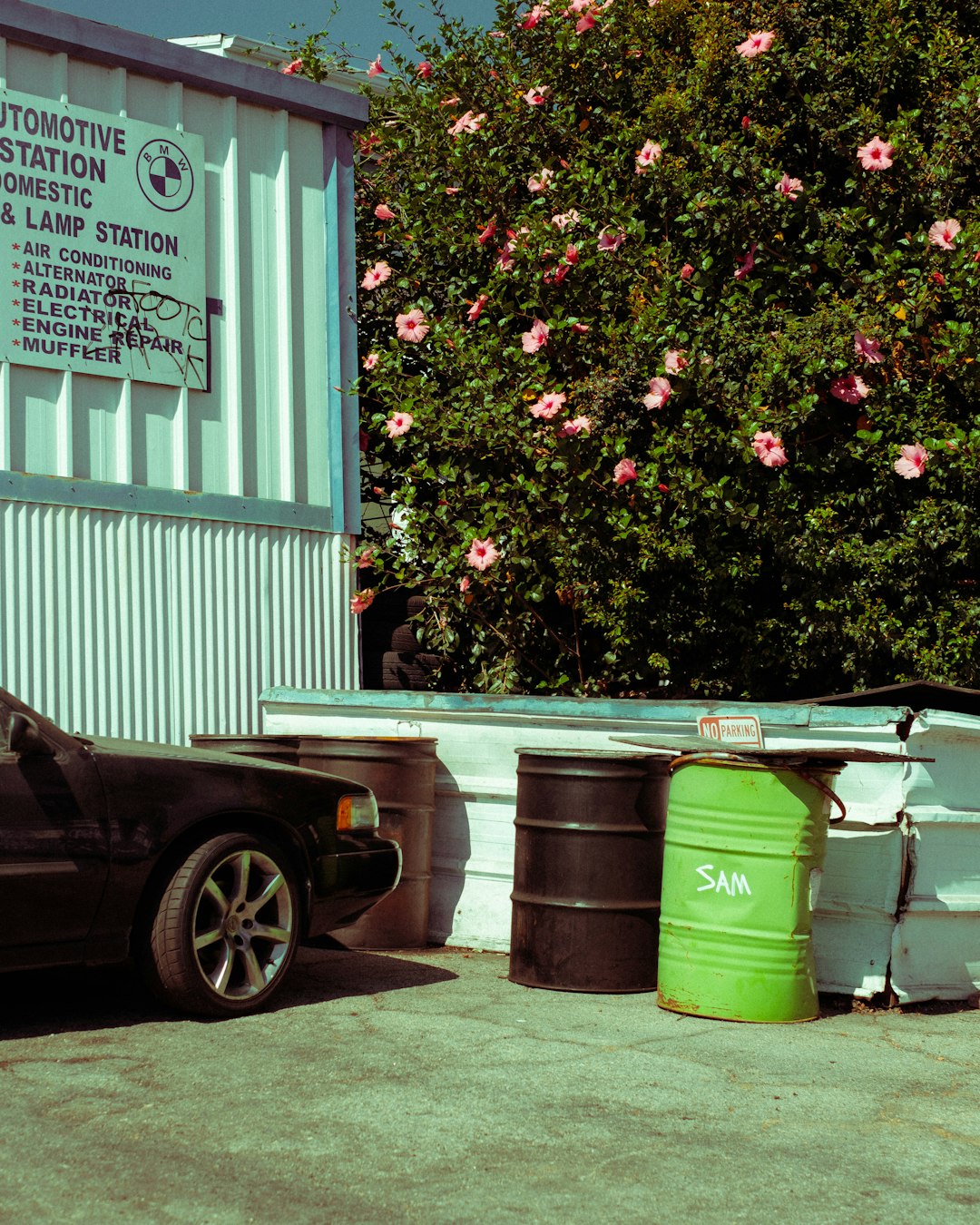 Dumpsters, Deadlines, and Sunset Streets: A Greater Los Angeles Story