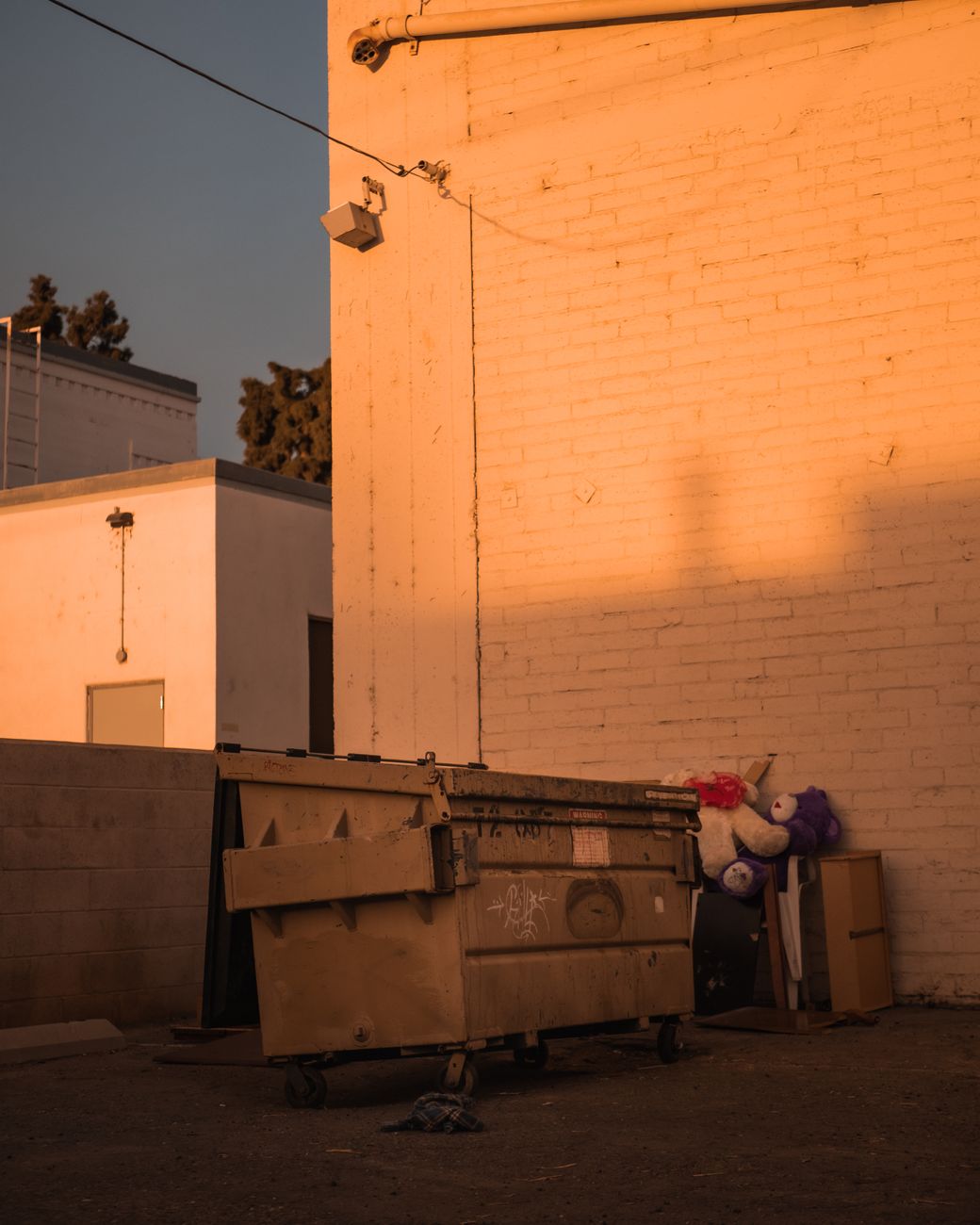 The Day the City Emptied: A Journey Through Dumpster Removal in Greater Los Angeles