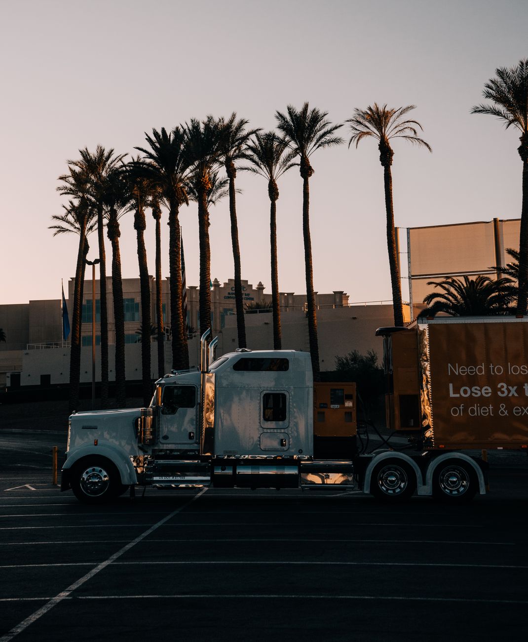 When the Dumpster Came to Town: A Los Angeles Tale of Debris, Drama, and Dumpster Removal
