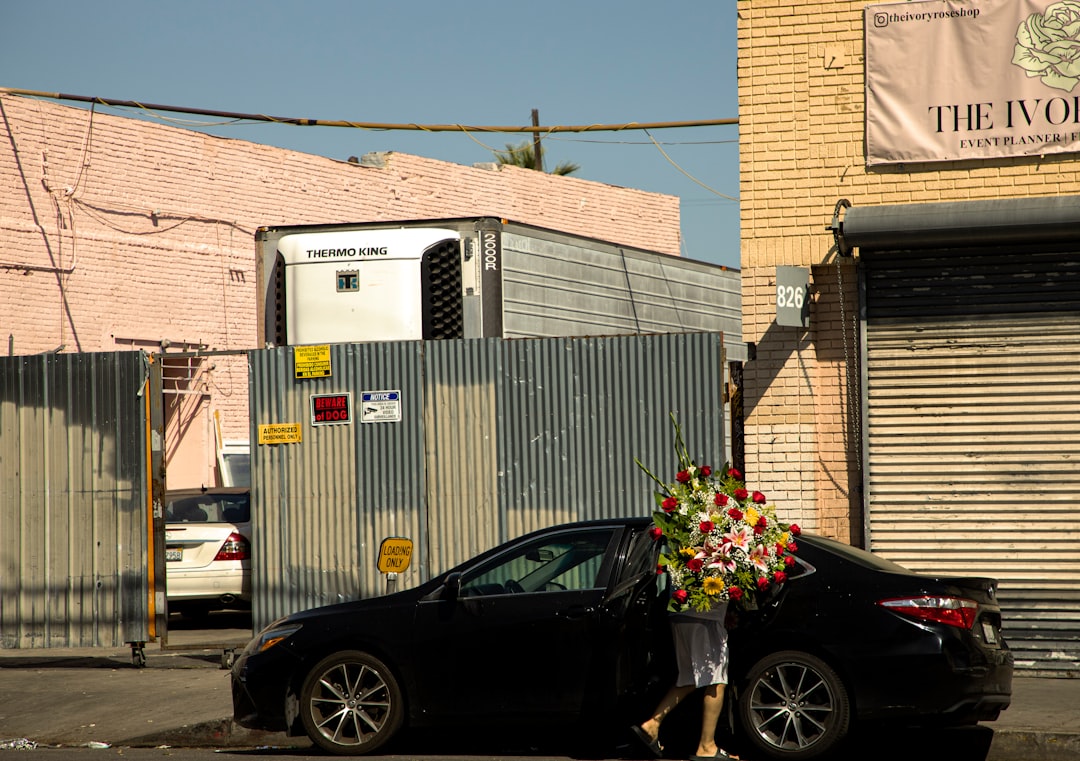 When the Dumpster Came to Town: Stories and Practicalities of Removal in Greater Los Angeles