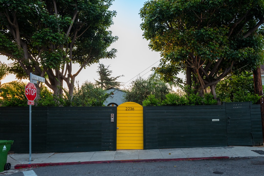 When the Truck Came to Sunset: A Los Angeles Dumpster Story