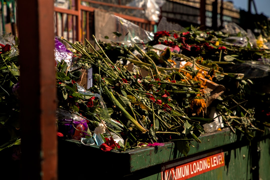 Where the City Clears Its Debris: A Greater Los Angeles Story of Dumpster Removal