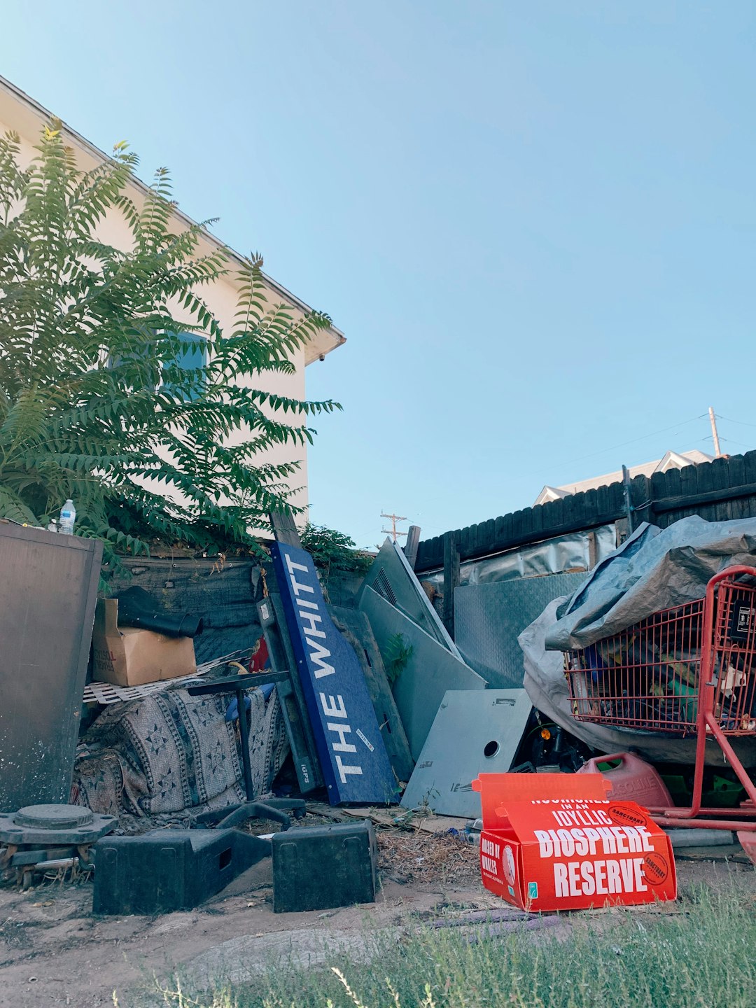 Between the Palms and the Piles: A Dumpster Story from Greater Los Angeles