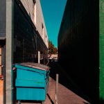 Curbside Stories: Dumpster Days Across Greater Los Angeles