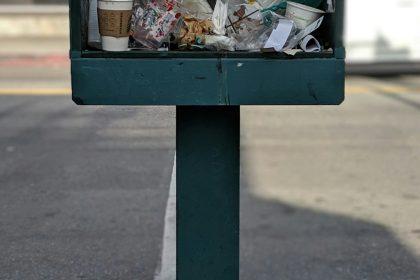 Dust, Diesel, and Downtown Dreams: A Los Angeles Story of Dumpster Removal