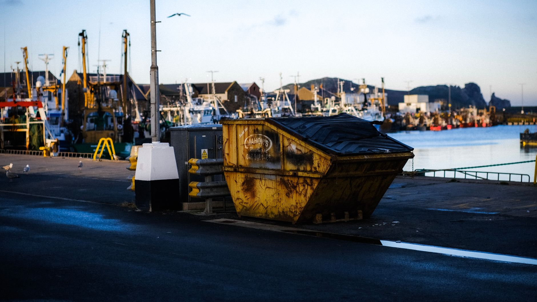 Emptying the City: A Day in Dumpster Removal Across Greater Los Angeles