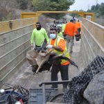 Hauling Away the Noise: A Day with Dumpster Removal in Greater Los Angeles