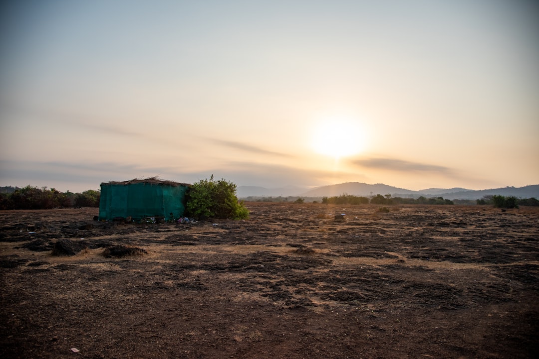 Hauling Away the Past: A Los Angeles Story of Dumpsters, Dust, and Second Chances