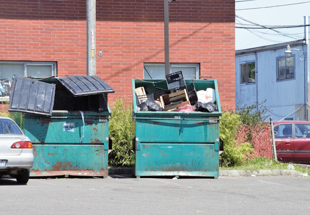 How a Dumpster Saved a Silver Lake Renovation: Lessons from Dumpster Removal Across Greater Los Angeles