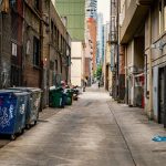 Turning Clutter into Calm: A Dumpster Removal Story Across Greater Los Angeles