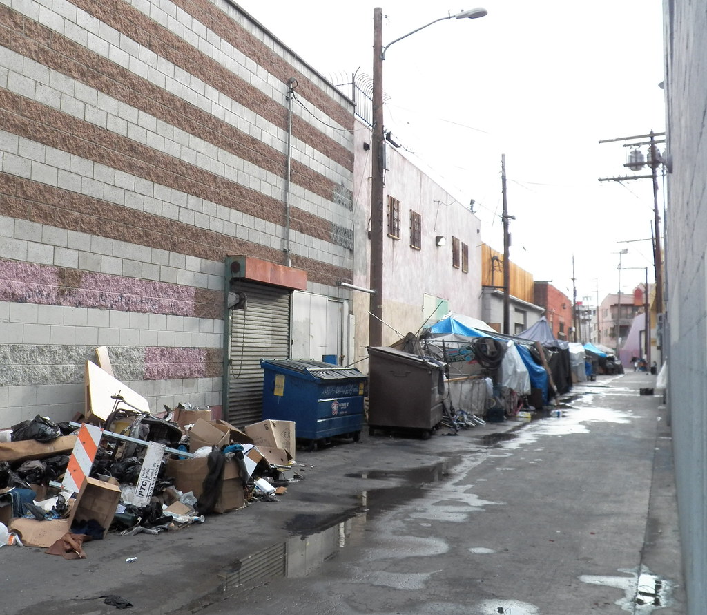 When the Alley Was Full: A Los Angeles Story of Dumpster Day