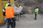 When the Driveway Became a Construction Site: A Los Angeles Dumpster Tale