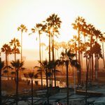 When the Dumpster Came to Town: A Greater Los Angeles Story of Cleanup, Code, and Community