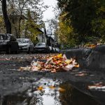 When the Dumpster Came to Town: A Greater Los Angeles Tale of Debris, Permits, and Pride