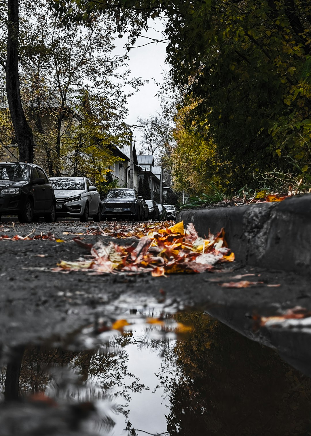 When the Dumpster Came to Town: A Greater Los Angeles Tale of Debris, Permits, and Pride