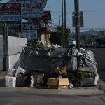 When the Dumpster Came to Town: A Los Angeles Story of Clutter, Codes, and Clean Streets