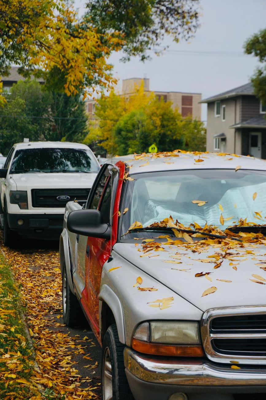 When the Street Needed a Dumpster: A Los Angeles Tale of Debris, Permits, and Relief