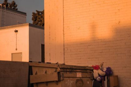 Clearing the Way: A Los Angeles Dumpster Removal Story