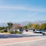From Chaos to Curbside Calm: A Dumpster Story Across Greater Los Angeles