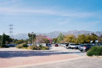 From Chaos to Curbside Calm: A Dumpster Story Across Greater Los Angeles