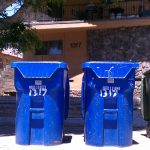 The Day the Dumpster Came: A Los Angeles Story of Clearing, Community, and Canyon-Sized Decisions