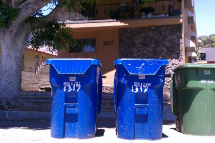The Day the Dumpster Came: A Los Angeles Story of Clearing, Community, and Canyon-Sized Decisions