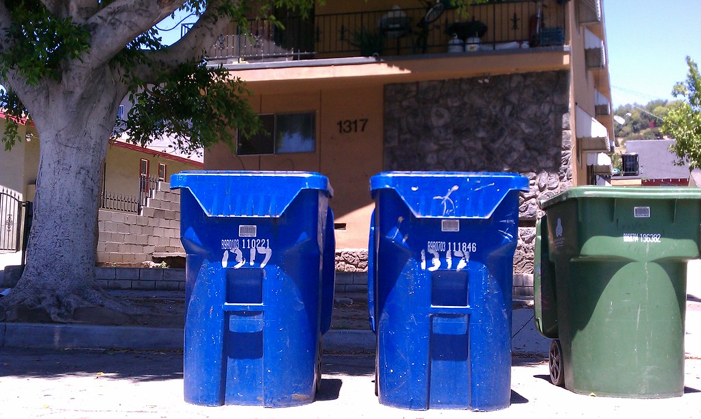 The Day the Dumpster Came: A Los Angeles Story of Clearing, Community, and Canyon-Sized Decisions