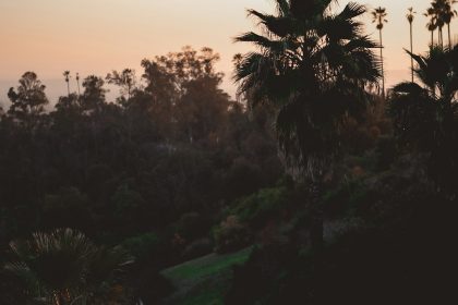 When the Dumpster Came to Town: Clearing Clutter Across Greater Los Angeles