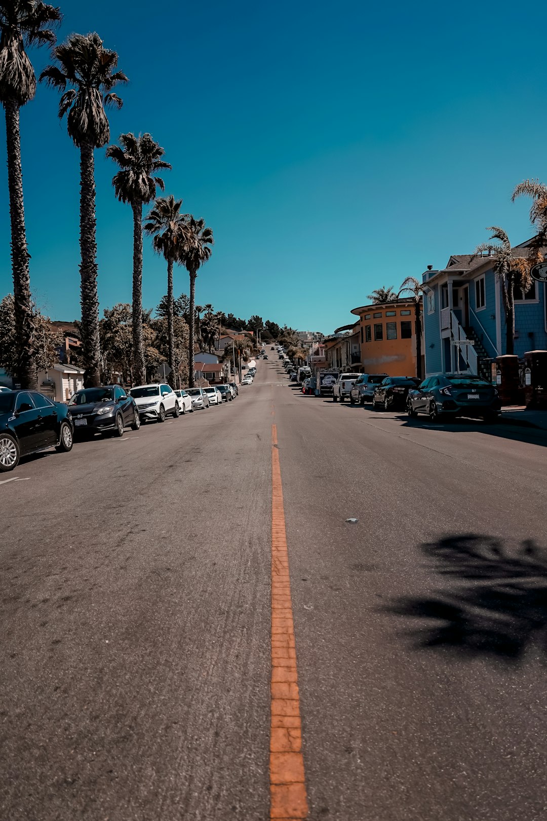 When the Street Turned into a Yard: A Greater Los Angeles Dumpster Story