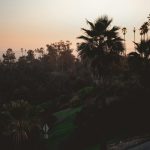 After the Load: A Greater Los Angeles Dumpster Story