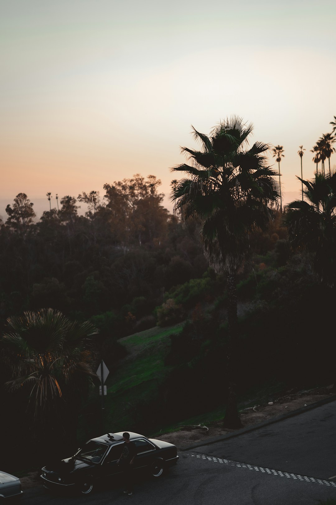 After the Load: A Greater Los Angeles Dumpster Story