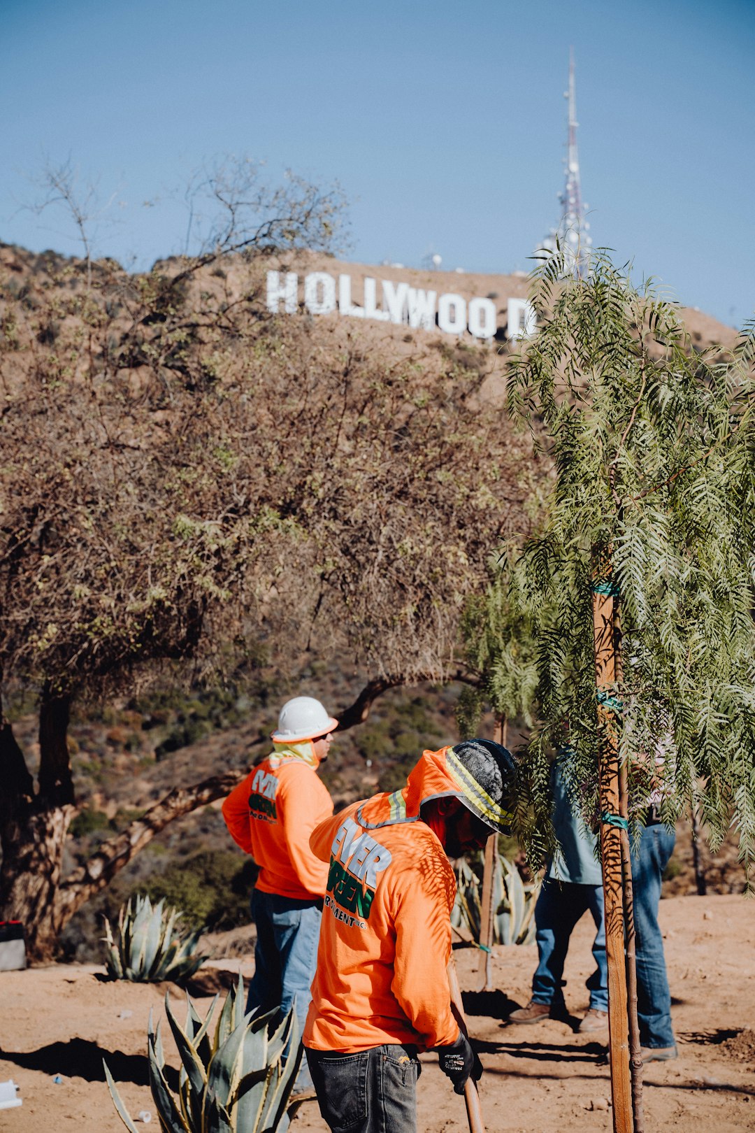 Rolling Away the Clutter: A Greater Los Angeles Dumpster Story