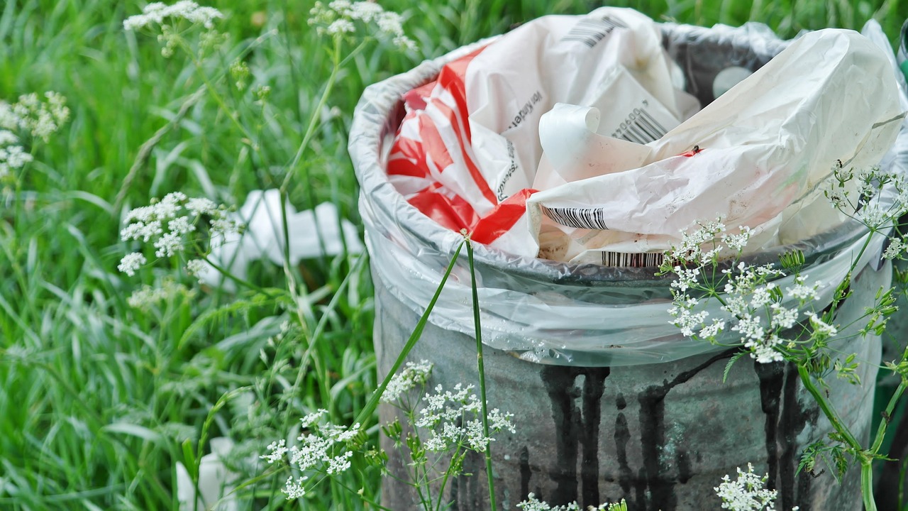 The Last Load: A Los Angeles Cleanup Finds Its Way