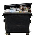 The Last Load: A Los Angeles Home's Dumpster Removal Story
